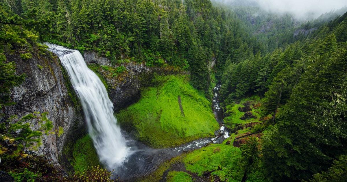 Top Tips for Saving Money on Your Weekly Shop