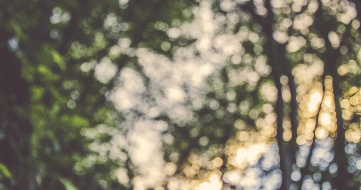 How Inflation Erodes Your Savings and What to Do About It