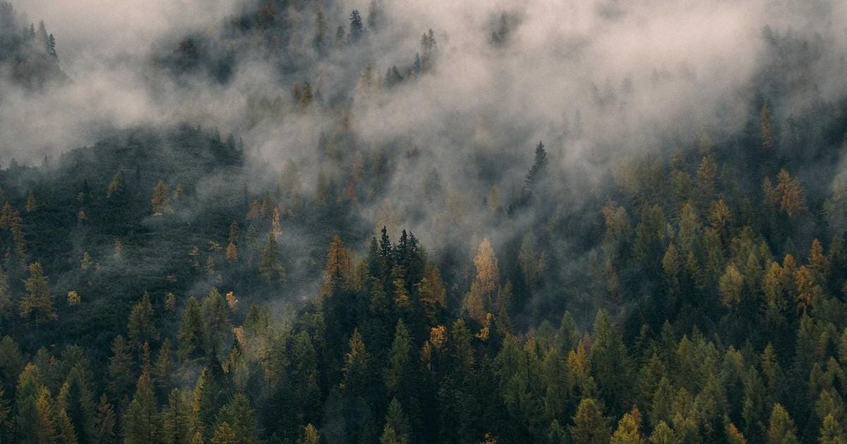 UK State Pension Explained: What You'll Get and When