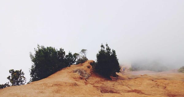 UK Rent Assistance: What Help Is Available?