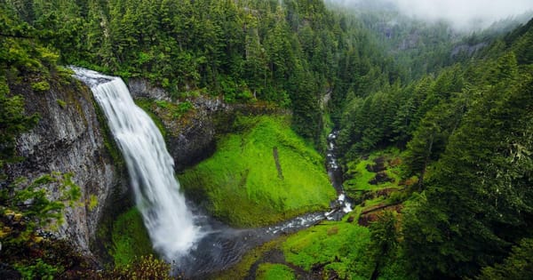 Top Tips for Saving Money on Your Weekly Shop