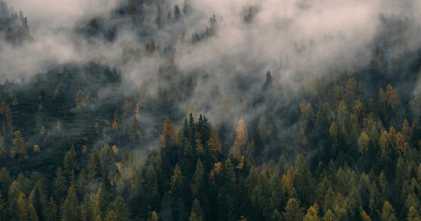 UK State Pension Explained: What You'll Get and When