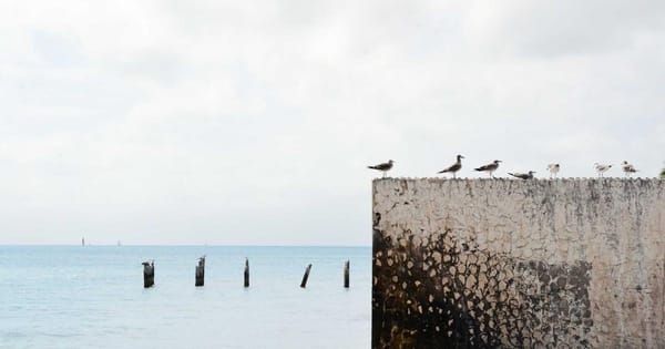 Understanding Your Credit Score in the UK (Experian, Equifax, TransUnion)